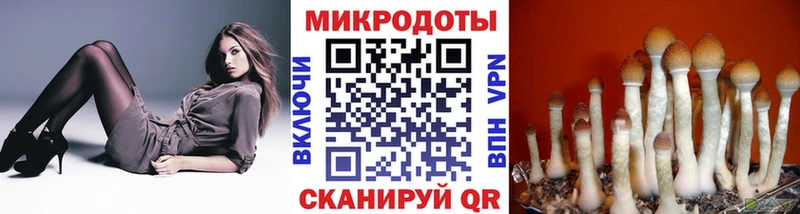 Псилоцибиновые грибы Psilocybe  Купить закладки  Джанкой 